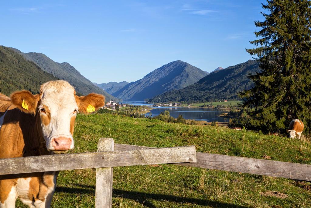 Haus Kalt Apartman Weissensee Kültér fotó